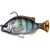 Pulse Tail Pinfish RTF