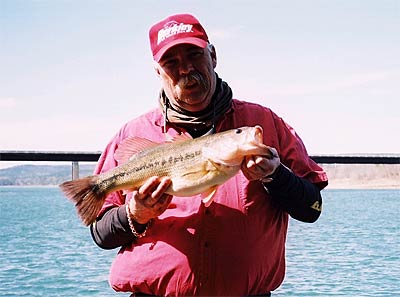 Greers Ferry walleye record, Spot on the spot, Females are more