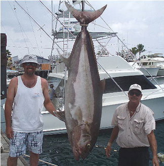 GRFIT Fishing Hooks 6 Pcs Shark Tuna Fishing Hook
