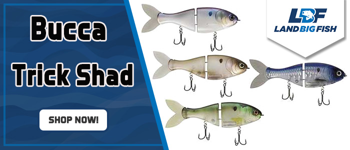 Bucca-Trick-Shad1.jpg