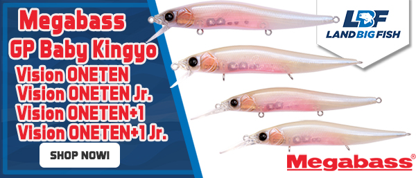 Megabass-color-GP-Baby-Kingyo-031925.jpg