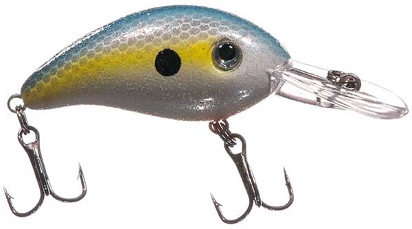 Buy Storm Lures Online In India India, 59% OFF