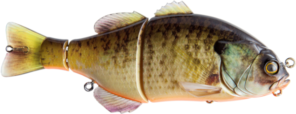 FishJackall-GANTAREL-RT-BLUEGILL-primary