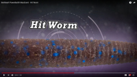 Berkley PowerBait MaxScent Hit Worm Video
