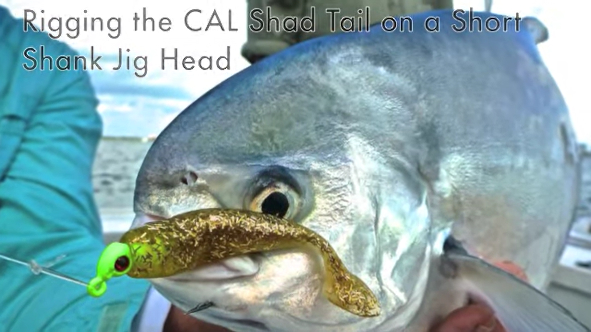 D.O.A. C.A.L. 3-inch Shad Tail