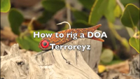 D.O.A. TerrorEyz Video