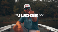 Judge