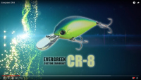 Evergreen CR-8 Crankbait - Pumpkin Seed