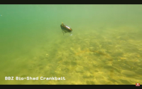 FishLab Tackle BBZ Bio-Shad Crankbait Video