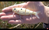 FishLab Tackle BBZ Bio-Shad Crankbait Video