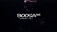 Boosa 9.6 Ribbon Tail Worm
