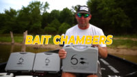 Bait Chamber