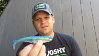 Big Joshy Swimbaits J5 Premium Baitfish