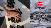 Penn Rival Level Wind Conventional Reel Video