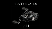 Tatula 100 TWS Baitcasting Reel