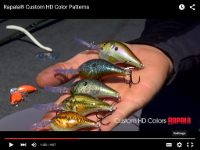 Rapala DT (Dives-To) Series Video