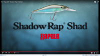 Rapala Shadow Rap Shad Deep Video