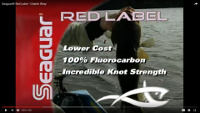 Seaguar Red Label 100% Fluorocarbon Fishing Line 15lbs, 200yds Break  Strength/Length - 15RM200 