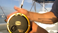 Penn Squall Lever Drag Conventional Reel Video