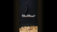 Bamboosa