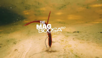 MagBoosa 8.0 Shakey Worm