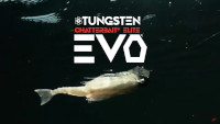 Tungsten ChatterBait Elite EVO