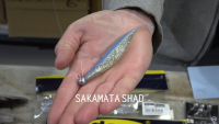 Sakamata Shad