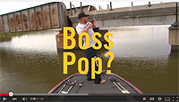 BOOYAH Boss Pop Video