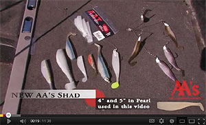 AA Worms Shad Series Swimbait Video